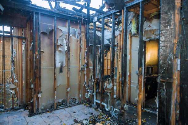Professional Structural Rebuild technician working in Calabasas, CA
